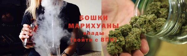 PSILOCYBIN Новозыбков