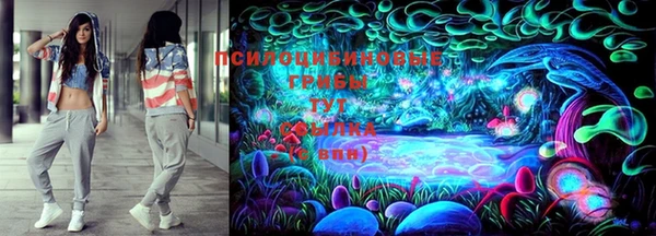 PSILOCYBIN Новозыбков
