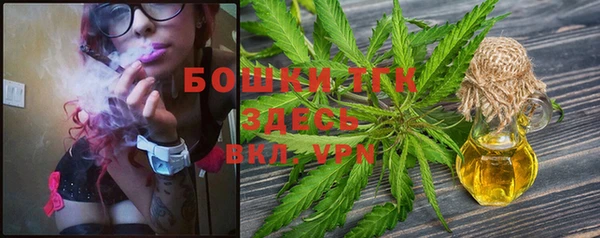 PSILOCYBIN Новозыбков