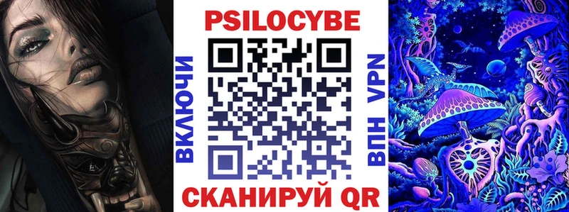 купить   это формула  mega онион  Галлюциногенные грибы Psilocybe  Тимашёвск 